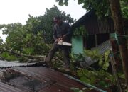 Diterjang Angin Kencang, Rumah Nelayan di Padang Selatan Tertimpa Pohon Raksasa
