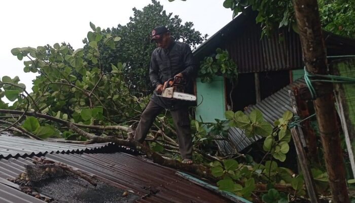 Diterjang Angin Kencang, Rumah Nelayan di Padang Selatan Tertimpa Pohon Raksasa