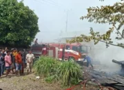 Api Lahap Gudang Karton di Pasbar, Kerugian Rp300 Juta