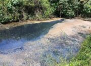 Sungai Hitam dan Berbau, Limbah Tambak Udang di Pasbar Diprotes Warga
