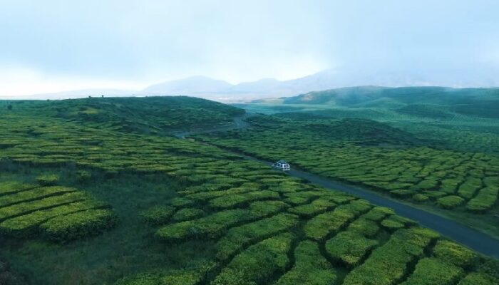 Kelana Bentala Eksplorasi Eropa Kecil Sumbar, Kebun Teh Tertua Dunia hingga Danau Kembar