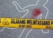 Ini Identitas Pemuda yang Tewas Usai Motor Sportnya Tabrak Truk di Pelalawan