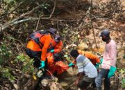 Lima Hari Pencarian, Pria Hilang di Kebun Sawit Bengkalis Ditemukan Meninggal Dunia