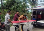 Kecelakaan Motor di Panorama Dua Sitinjau Lauik, Satu Korban Dilarikan ke Rumah Sakit