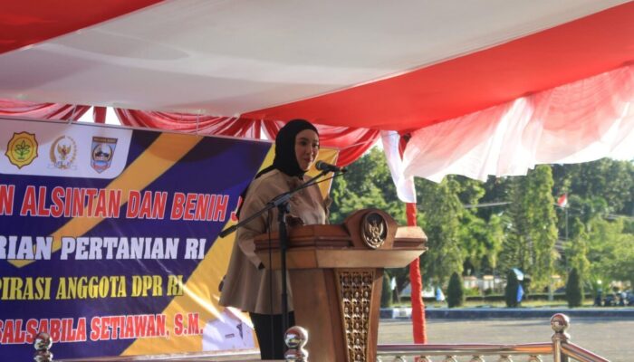 Bantuan Pangan Cindy Monica, Wabup Pasbar Targetkan Kenaikan Produksi Padi dan Jagung