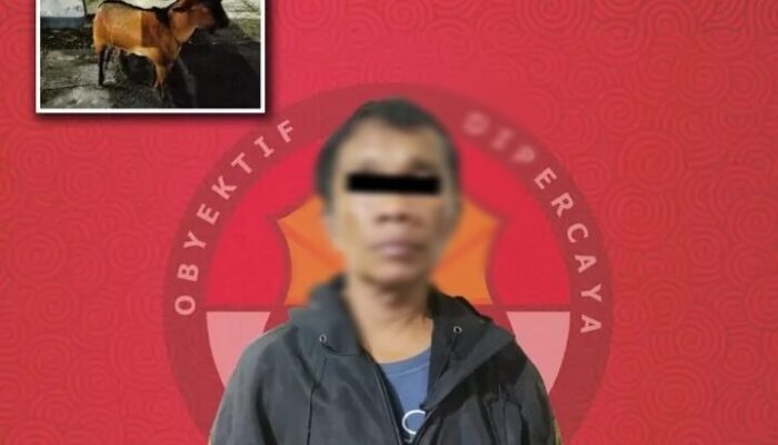 Residivis Pencuri Kambing Dibekuk Lagi di Payakumbuh, Dua Rekannya Buron