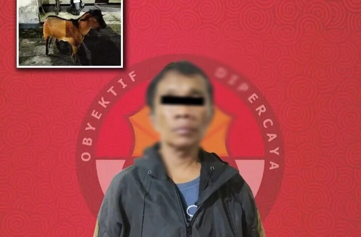 Pelaku berinisial RK, Residivis pencurian ternak kambing saat diamankan. (Dok.Polres Payakumbuh)
