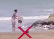 Tertangkap Kamera, Pelaku Pembuang Sampah ke Laut di Padang Berhasil Ditemukan