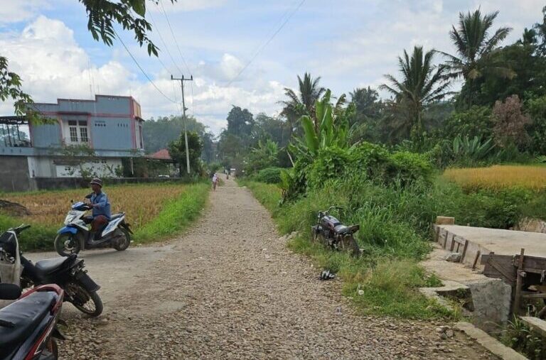 DAU dan DAK Kosong, Golkar Desak Fokus Anggaran Daerah pada Infrastruktur Publik. (ist)