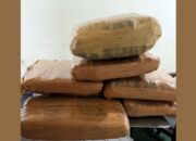 Gagalkan Pengiriman Lintas Pulau, Petugas BIM Amankan 7 Kilogram Ganja