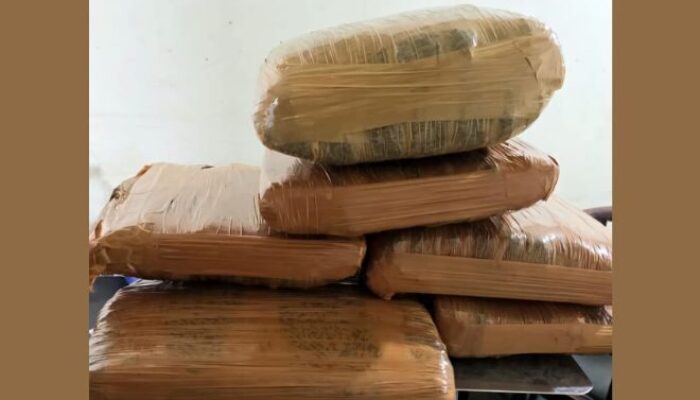 Gagalkan Pengiriman Lintas Pulau, Petugas BIM Amankan 7 Kilogram Ganja