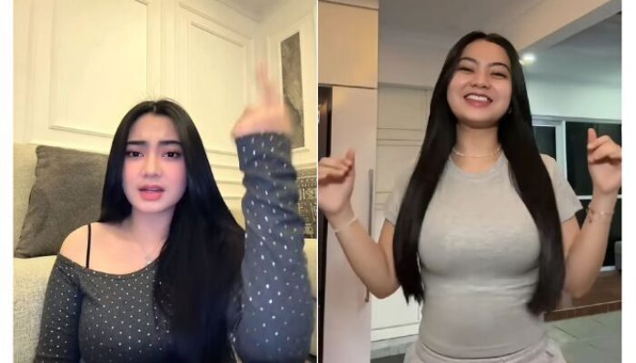 Profil dan Biodata Tiktokers Cantik Ratu Aulia, Ini Perjalanan Karirnya