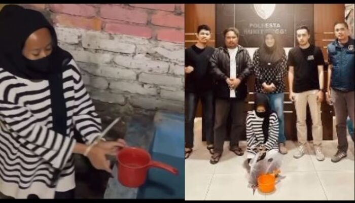 Pengakuan Tersangka Ibu Kandung Buang Bayi Ngarai Sianok di Bukittinggi Karena Malu
