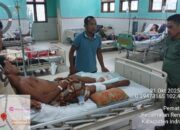 Selamat Dari Serangan Harimau, Petani Inhu Menderita Luka Bagian Kaki