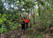 Hilang di Kebun Kopi, Petani Solok Selatan Ditemukan Selamat Tim SAR
