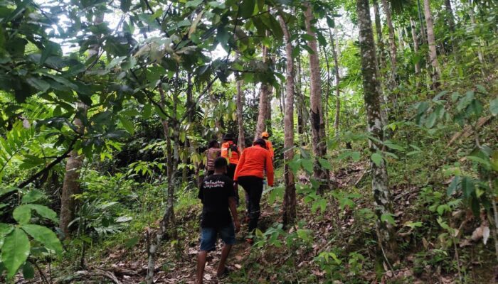 Hilang di Kebun Kopi, Petani Solok Selatan Ditemukan Selamat Tim SAR