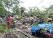 Hujan dan Angin Kencang di Padang, Pohon Raksasa Timpa Bengkel di Ulak Karang