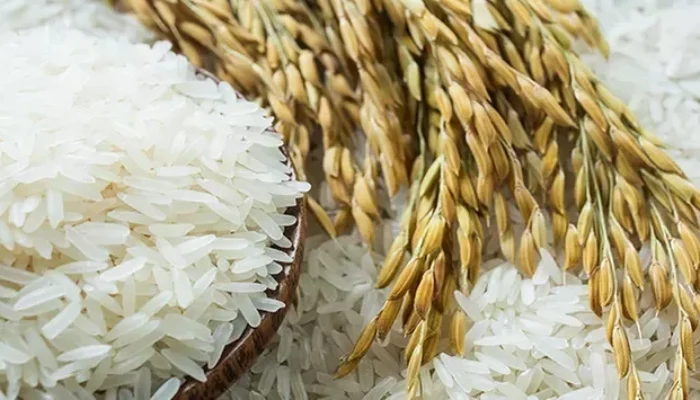 Sawahlunto Surplus Beras 4.085 Ton, Cukup Konsumsi Warga Hingga Pertengahan 2026