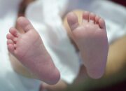 Geger Penemuan Bayi Perempuan dalam Kardus di Sekitar Samsat Bukittinggi