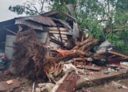 Angin Kencang Rusak Sejumlah Fasilitas di Kota Solok, Warga Berhamburan Cari Perlindungan