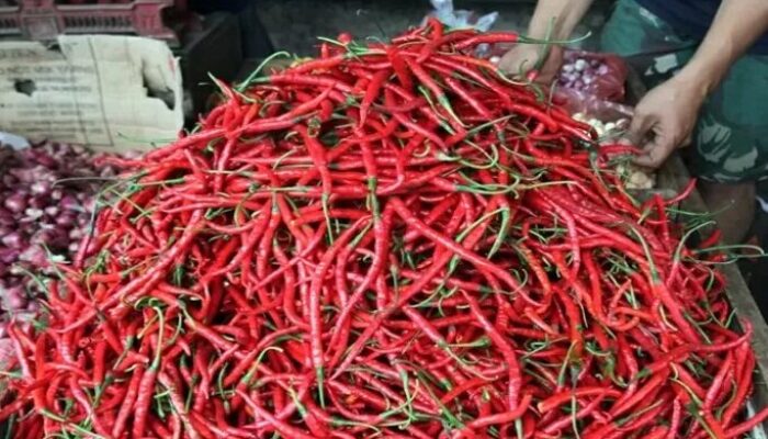 Harga Cabai Merah Turun Drastis di Padang Panjang Awal November, Seledri Melambung Tinggi