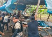 Tim Gabungan di Kampar Tindak Dua Lokasi Sabung Ayam Bertajuk