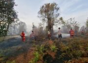 Wakapolda Riau dan Kapolres Kampar Turun Langsung Padamkan Karhutla di Rimbo Panjang