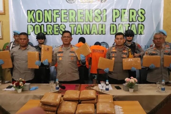 Polisi memperlihatkan 27 paket ganja yang disita dari mobil pick-up serta sejumlah barang bukti lain saat konferensi pers di Mapolres Tanah Datar. (dok.Polres Tanah Datar)
