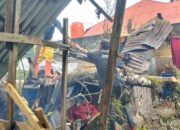 Pohon Besar Tumbang Timpa Kandang Sapi di Kuranji Akibat Hujan Deras