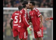 Liga Champions UEFA Liverpool Menang, Gol Tunggal Mac Allister Tumbangkan Real Madrid