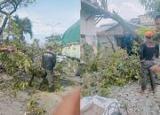 Dua Pohon Tumbang Hantam Padang di Lokasi Berbeda, Akses Jalan Sempat Terganggu