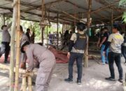 Viral Promosi Judi di Kampar, Aparat Gabungan Musnahkan Dua Lokasi Sabung Ayam