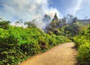 Kebakaran Ancam Fasilitas Vital Komunikasi di Bukit Gado-gado, Dimana Damkar Padang?