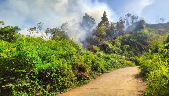 Kebakaran Ancam Fasilitas Vital Komunikasi di Bukit Gado-gado, Dimana Damkar Padang?