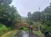 Agam Darurat Bencana, Longsor di Palembayan Timbun Dua Rumah dan Akses Jalan Vital