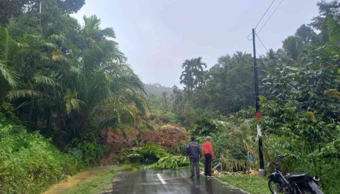Agam Darurat Bencana, Longsor di Palembayan Timbun Dua Rumah dan Akses Jalan Vital