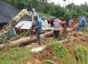 Walhi Sebut Bencana di Sumbar Krisis Lingkungan dan Kegagalan Tata Kelola Ruang