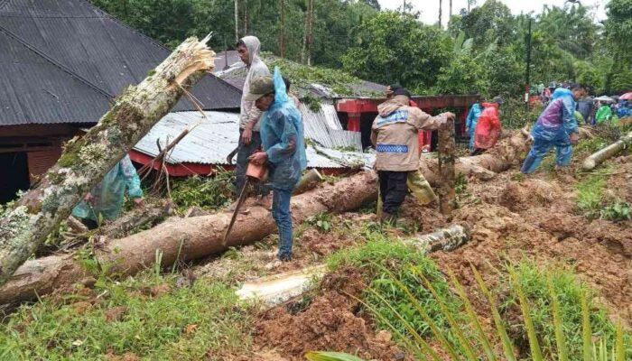 Walhi Sebut Bencana di Sumbar Krisis Lingkungan dan Kegagalan Tata Kelola Ruang