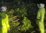 Akses Bukittinggi–Padang Putus Total, Dua Titik Longsor Timbun Lembah Anai