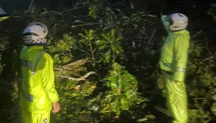 Akses Bukittinggi–Padang Putus Total, Dua Titik Longsor Timbun Lembah Anai