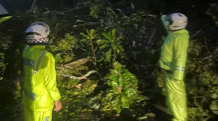 Longsor dan Pohon Tumbang Lumpuhkan Jalur Padang–Bukittinggi Sejak Dini Hari. (ist)
