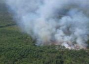 Alarm Kebakaran Hutan di Sumatera, BMKG Deteksi 55 Hotspot Sumsel Paling Mengkhawatirkan