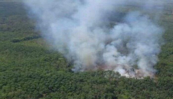 Alarm Kebakaran Hutan di Sumatera, BMKG Deteksi 55 Hotspot Sumsel Paling Mengkhawatirkan