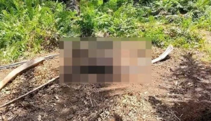Warga Geger, Mayat Pria Tanpa Identitas Ditemukan Membusuk di Area PT PMJ
