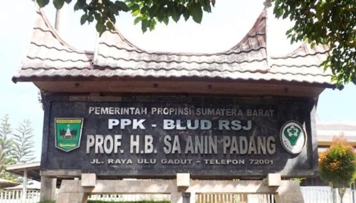 Direspon Bupati Padang Pariaman, ODGJ yang Dipasung Dievakuasi RSJ HB Saanin