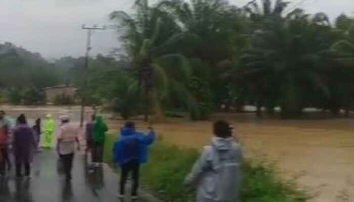 Curah Hujan Ekstrem, Jalur Agam-Pasaman Barat Lumpuh