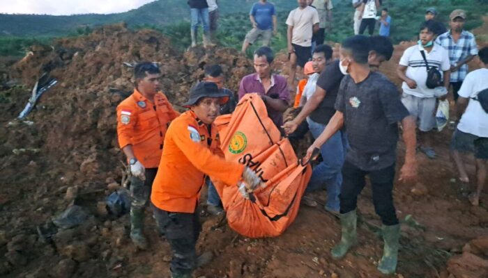 Tim SAR Temukan 22 Korban Longsor di Batu Godang dalam Kondisi Tewas