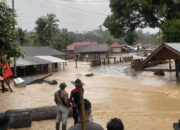 Bencana Sumbar, Korban Meninggal 234 Jiwa dan 95 Warga Masih dalam Pencarian