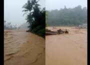 Hujan Deras Debit Sungai Padang Naik, Warga Diminta Waspada