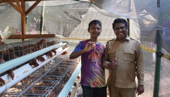Kisah Haru Sandika, Telur Pertama Pulihkan Ekonomi Keluarga di Dharmasraya
